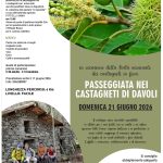 Passeggiata nei Castagneti in Fiore di Davoli: natura, tradizioni e sapori del territorio